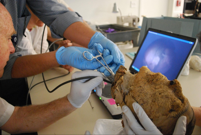 Cómo hizo el FBI resuelto el misterio de la cabeza cortada de 4.000 años de la momia Cómo hizo el FBI resuelto el misterio de la cabeza cortada de 4.000 años de la momia