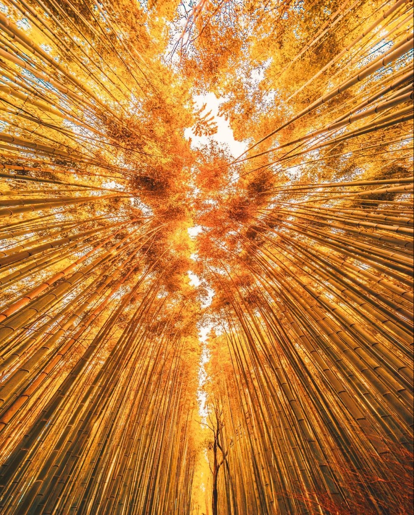 Cómo late el corazón del Gran Tokio: El brillante Japón en fotos de Naohiro Yako Cómo late el corazón del Gran Tokio: El brillante Japón en fotos de Naohiro Yako