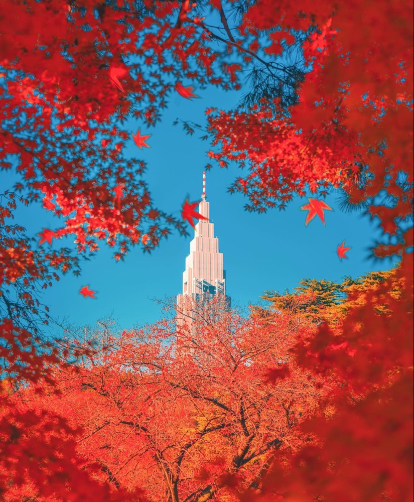 Cómo late el corazón del Gran Tokio: El brillante Japón en fotos de Naohiro Yako Cómo late el corazón del Gran Tokio: El brillante Japón en fotos de Naohiro Yako