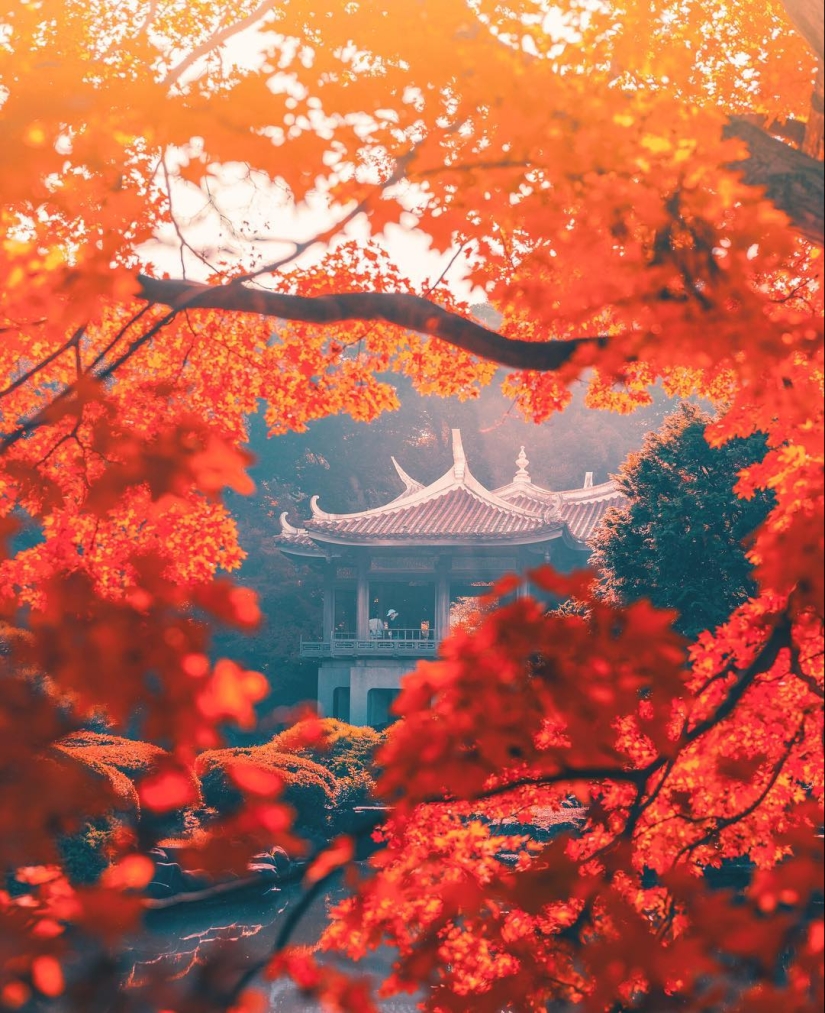 Cómo late el corazón del Gran Tokio: El brillante Japón en fotos de Naohiro Yako Cómo late el corazón del Gran Tokio: El brillante Japón en fotos de Naohiro Yako