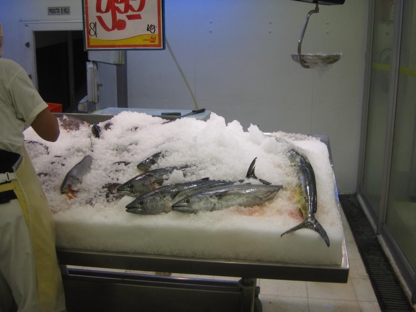 Cómo lidiar con una resaca en diferentes países del mundo