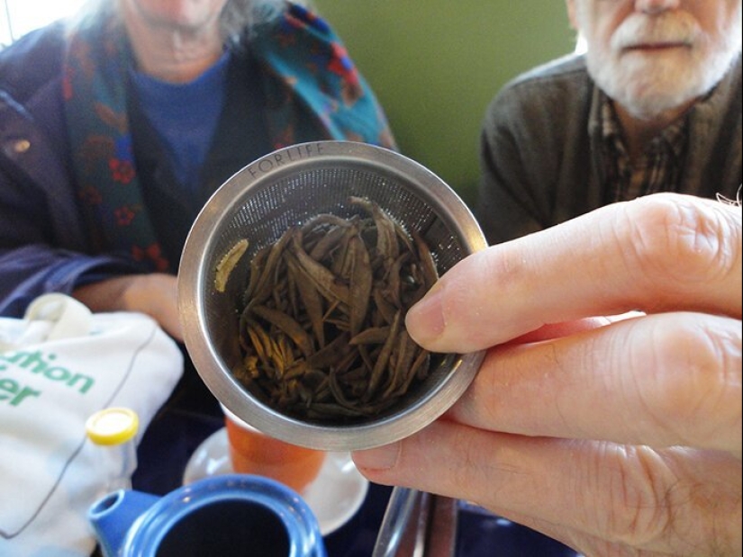 Cómo salvar el planeta: 20 cosas simples que cualquiera puede hacer Cómo salvar el planeta: 20 cosas simples que cualquiera puede hacer