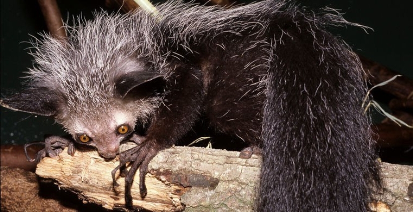 Cómo se hace un verdadero anti-mi-mi-mi