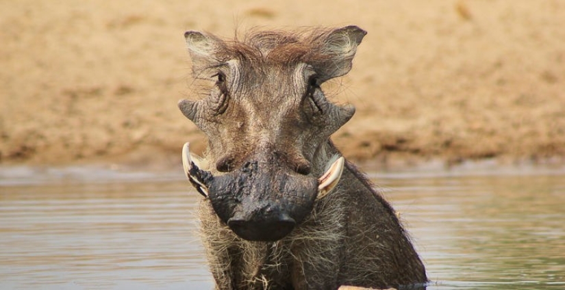 Cómo se hace un verdadero anti-mi-mi-mi