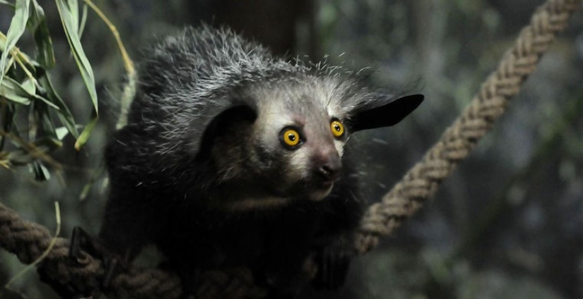 Cómo se hace un verdadero anti-mi-mi-mi