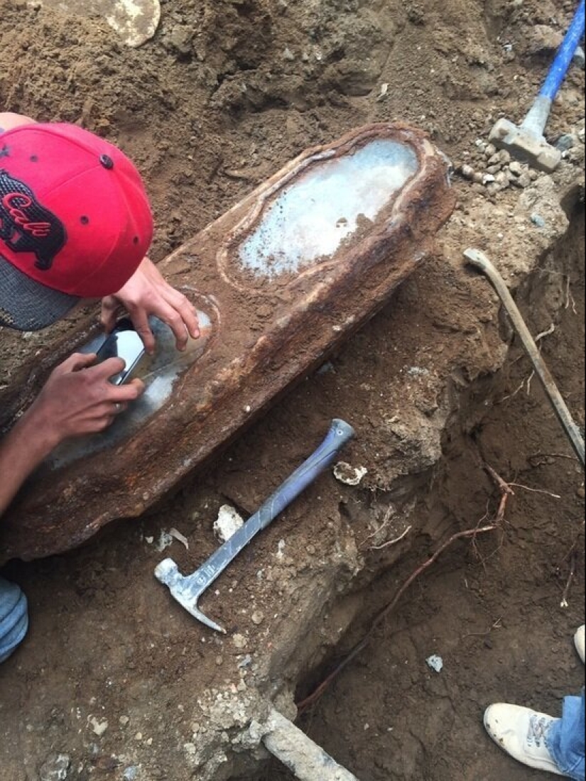 Cómo se reveló el misterio de la chica del ataúd de cristal