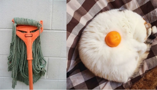 ¿Cómo son los cables? 22 pruebas para una imaginación desarrollada