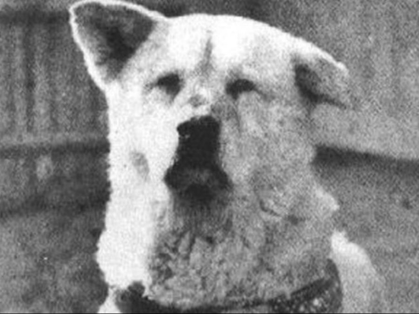 ¿Cómo son los prototipos de personajes de películas famosos?
