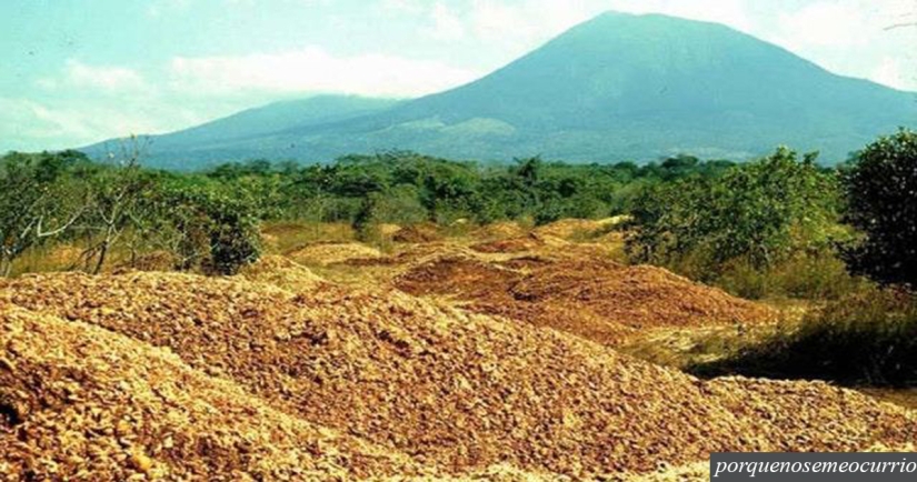 Cómo un montón de cáscaras de naranja cambió el ecosistema en América Central Cómo un montón de cáscaras de naranja cambió el ecosistema en América Central