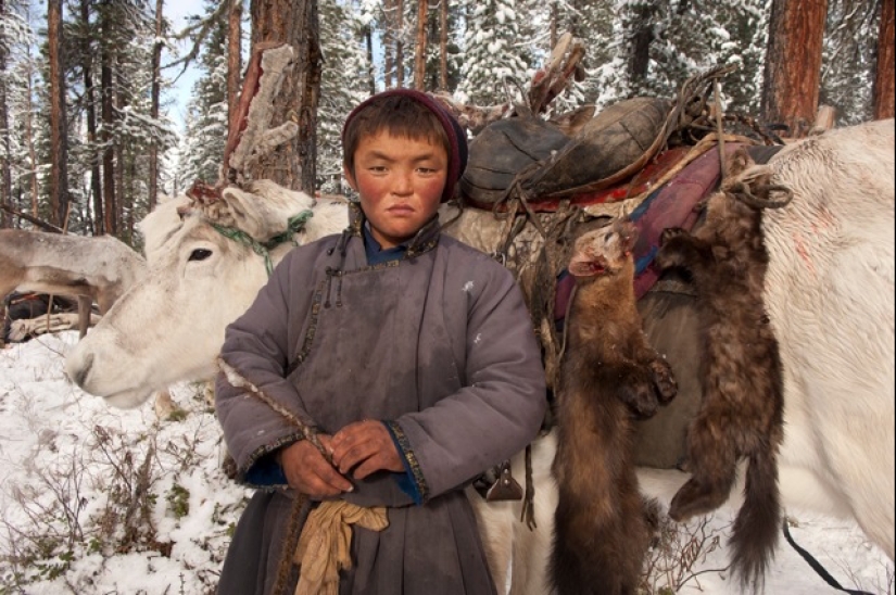 Cómo vive la tribu de pastores de renos de Mongolia, en peligro de extinción Cómo vive la tribu de pastores de renos de Mongolia, en peligro de extinción