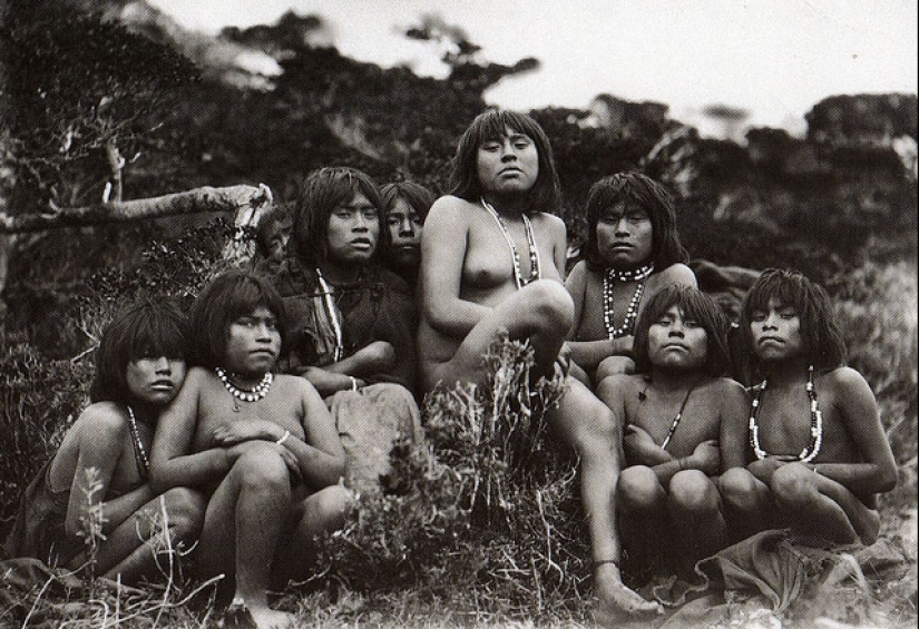 Cómo vivieron los yagan y por qué desaparecieron — las personas más resistentes a las heladas del planeta Cómo vivieron los yagan y por qué desaparecieron — las personas más resistentes a las heladas del planeta