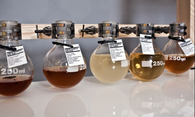Cómo, y lo más importante por qué, había un whisky de la orina de los diabéticos Gilpin Whisky de la familia