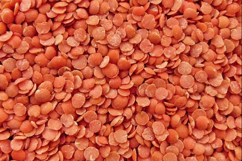 Colesterol domesticado: Los 40 mejores alimentos para reducir su nivel
