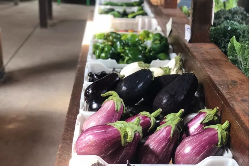 Colesterol domesticado: Los 40 mejores alimentos para reducir su nivel