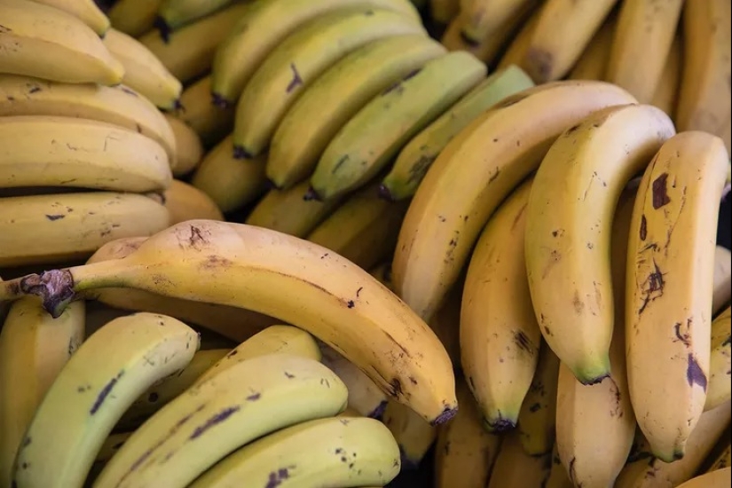 Colesterol domesticado: Los 40 mejores alimentos para reducir su nivel
