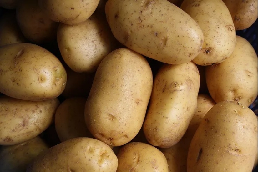 Colesterol domesticado: Los 40 mejores alimentos para reducir su nivel