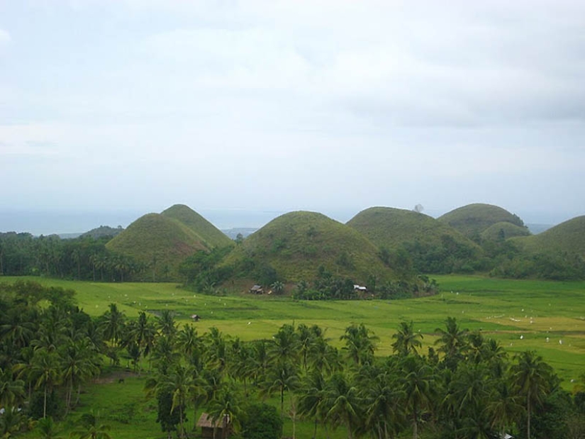 Colinas de Chocolate de la isla de Bohol Colinas de Chocolate de la isla de Bohol