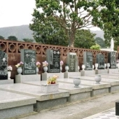 Colma is an American cemetery town that lives off the dead. Colma is an American cemetery town that lives off the dead.