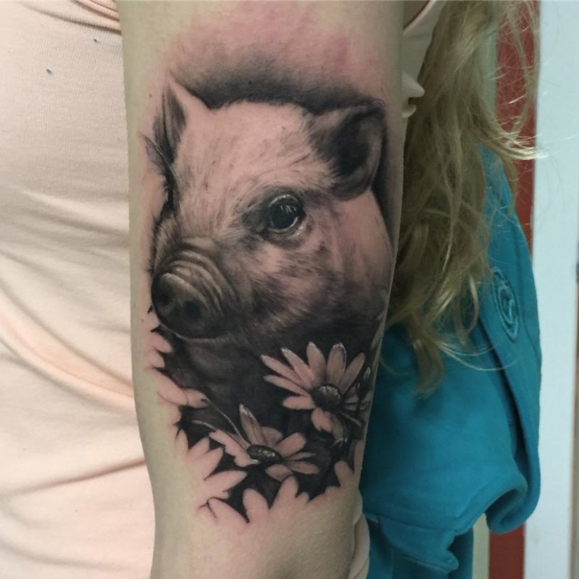"Comer su ensalada — no te metas con los chicos": ¿qué es un tatuaje cubren los veganos "Comer su ensalada — no te metas con los chicos": ¿qué es un tatuaje cubren los veganos