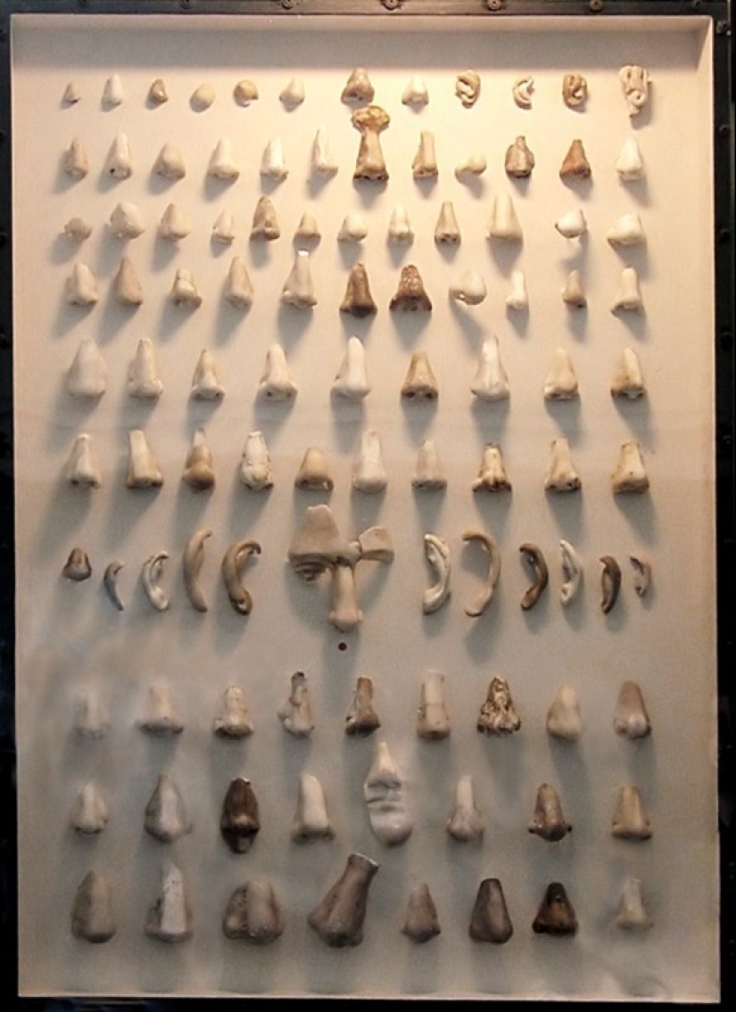 Como en el Museo danés mundo apareció sólo una colección de antiguos narices Como en el Museo danés mundo apareció sólo una colección de antiguos narices