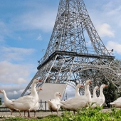 Como madera contrachapada sobre París: 15 Torres Eiffel de las extensiones de la Madre Rusia