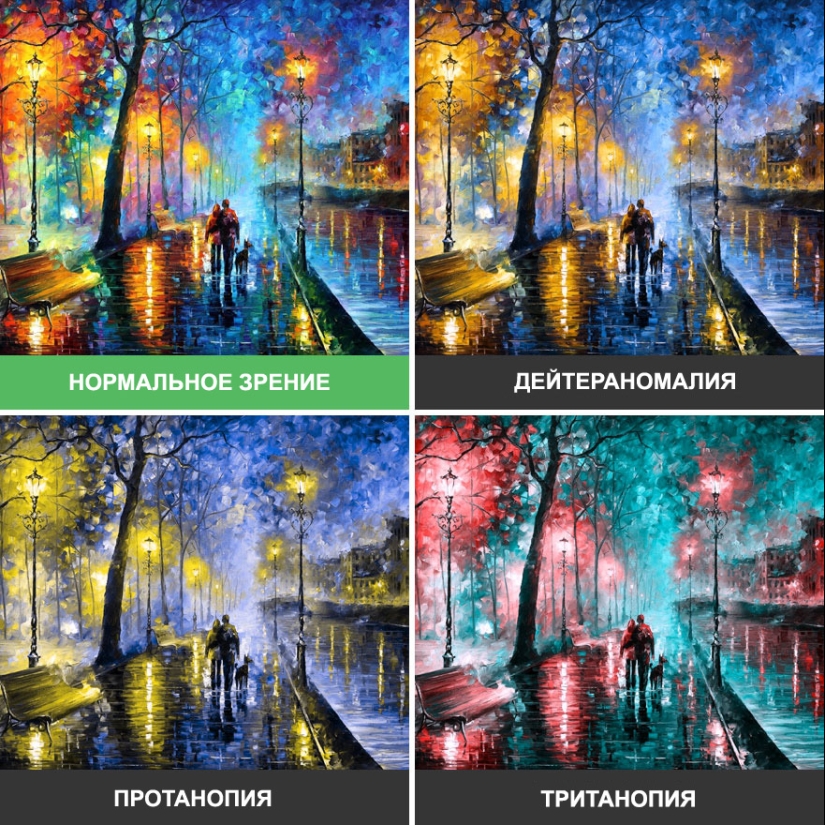 Como se ve el mundo a través de los ojos de los ciegos al color