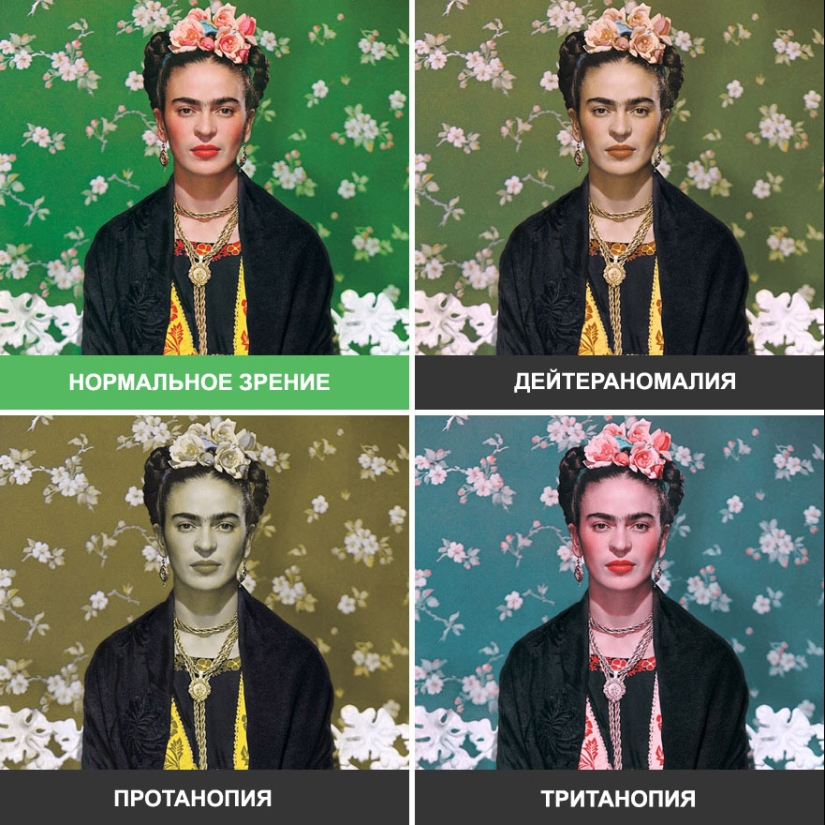 Como se ve el mundo a través de los ojos de los ciegos al color