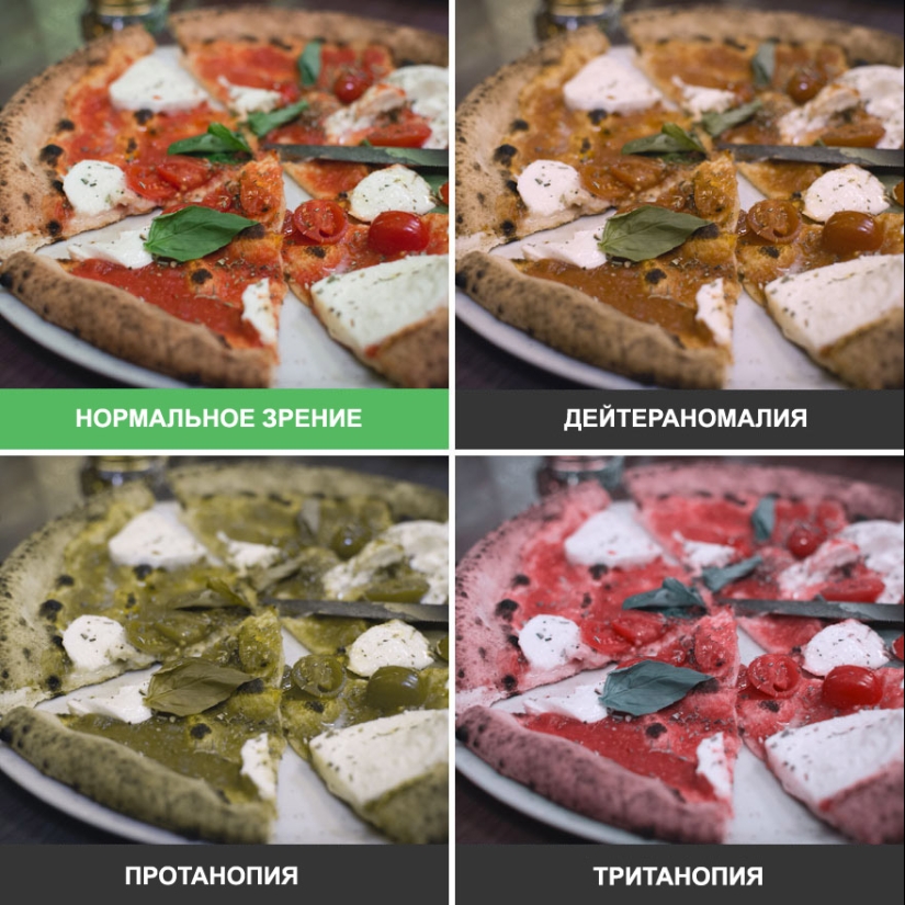 Como se ve el mundo a través de los ojos de los ciegos al color