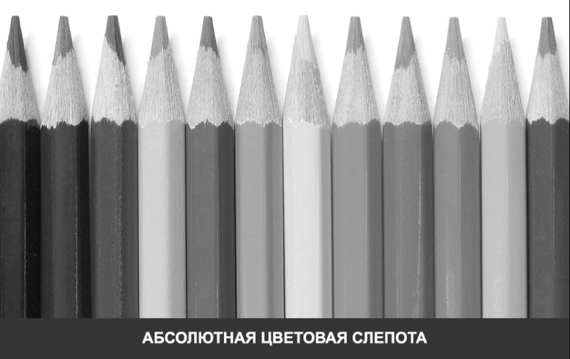 Como se ve el mundo a través de los ojos de los ciegos al color