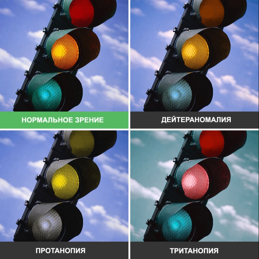 Como se ve el mundo a través de los ojos de los ciegos al color