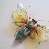 Computer bugs Computer bugs
