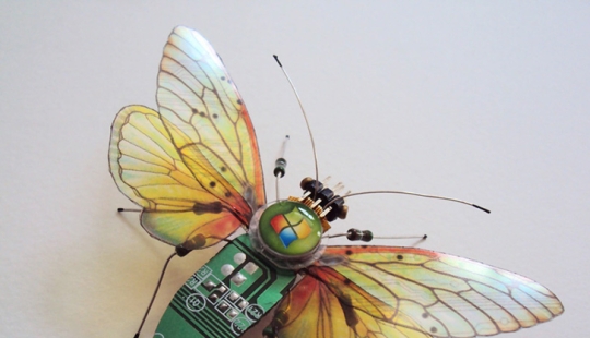 Computer bugs Computer bugs