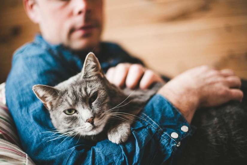 Consejos para el cuidado de perros y Gatos Hombre Consejos para el cuidado de perros y Gatos Hombre