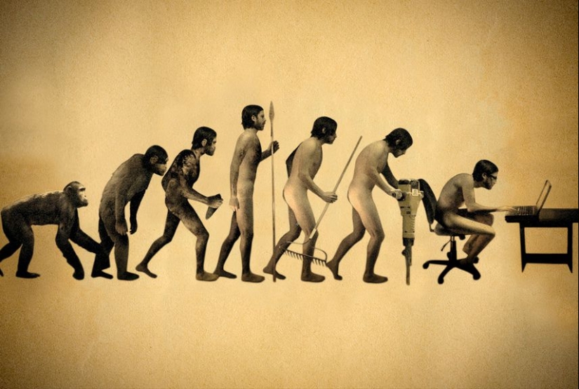 Contracción cerebral y 4 pruebas más de que el hombre sigue evolucionando Contracción cerebral y 4 pruebas más de que el hombre sigue evolucionando
