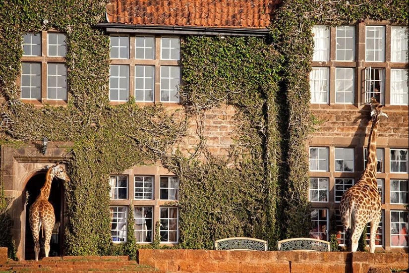 Cool hotels where you want to be right now Cool hotels where you want to be right now