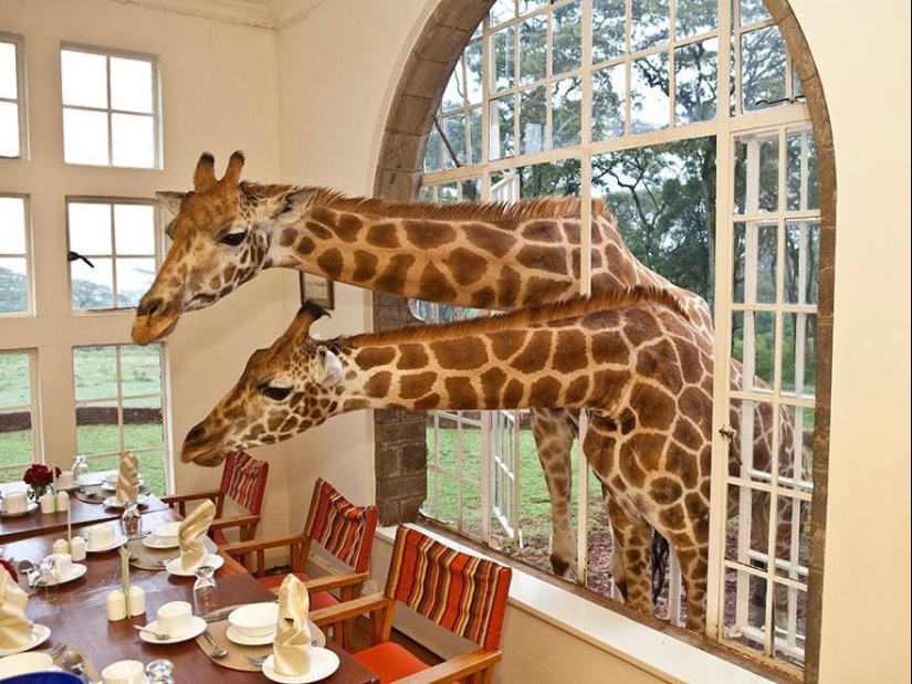 Cool hotels where you want to be right now Cool hotels where you want to be right now