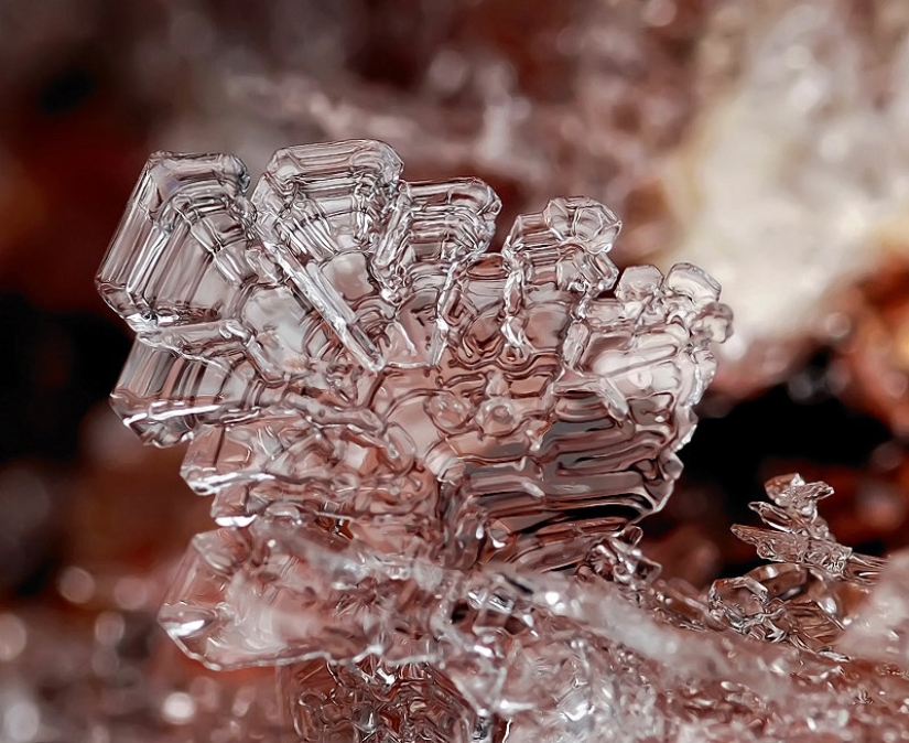 Copos de nieve del fotógrafo Andrey Osokin