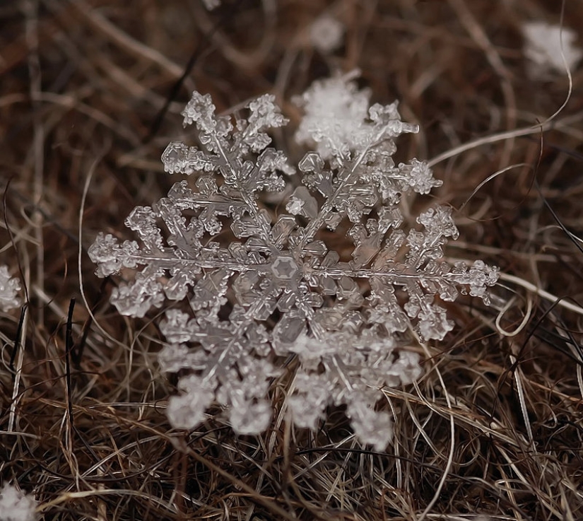 Copos de nieve del fotógrafo Andrey Osokin