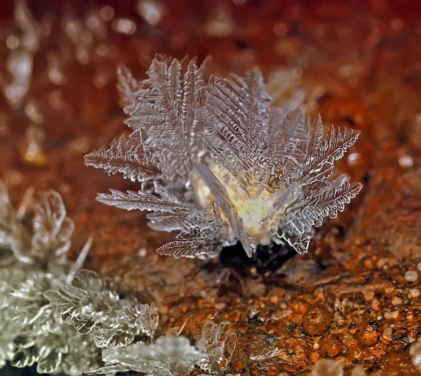 Copos de nieve del fotógrafo Andrey Osokin