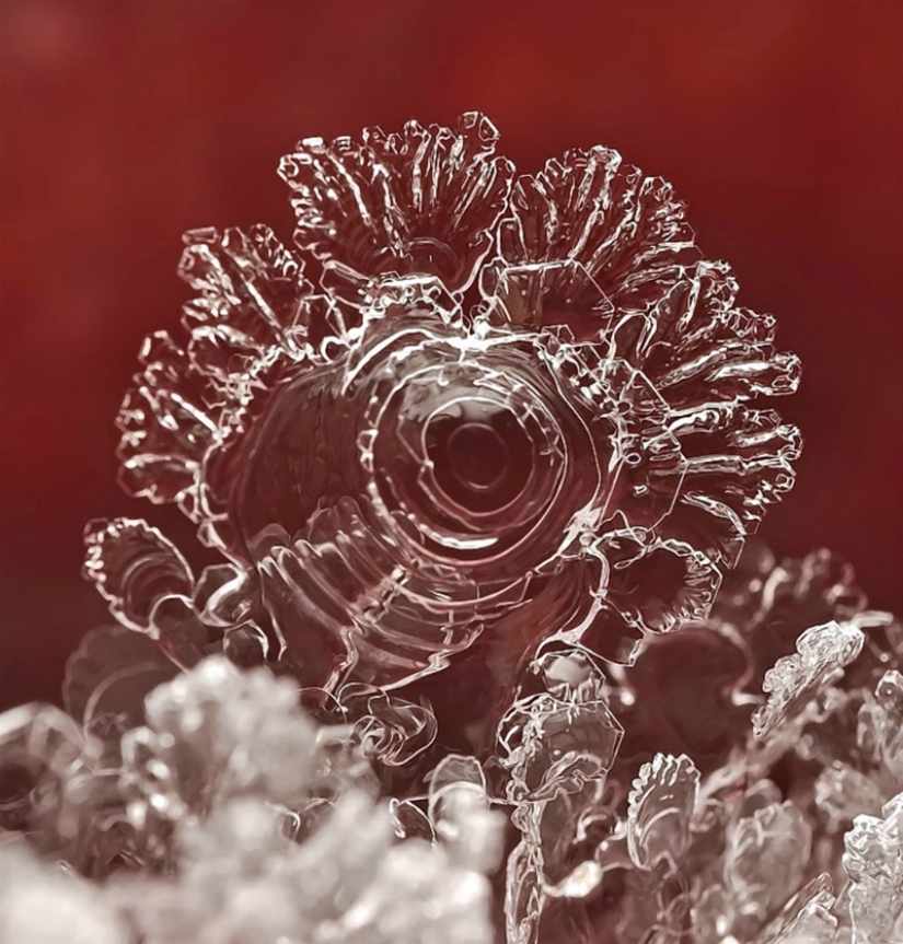 Copos de nieve del fotógrafo Andrey Osokin