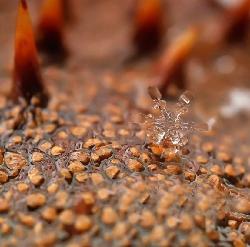 Copos de nieve del fotógrafo Andrey Osokin