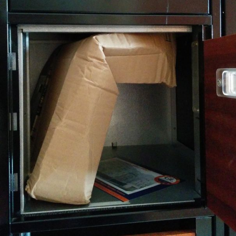 Cuando el cartero no es Pechkin: Errores épicos del servicio de entrega