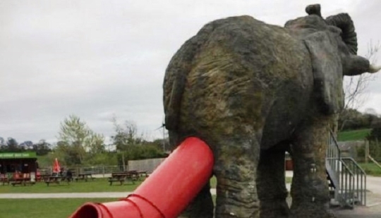 Cuando el diseñador está borracho, pero no quiere ir a casa y continúa trabajando Cuando el diseñador está borracho, pero no quiere ir a casa y continúa trabajando