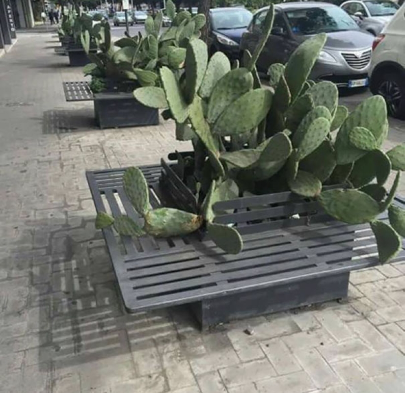 Cuando los arquitectos tienen hambre de sangre Cuando los arquitectos tienen hambre de sangre