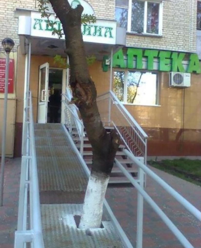 Cuando los arquitectos tienen hambre de sangre Cuando los arquitectos tienen hambre de sangre