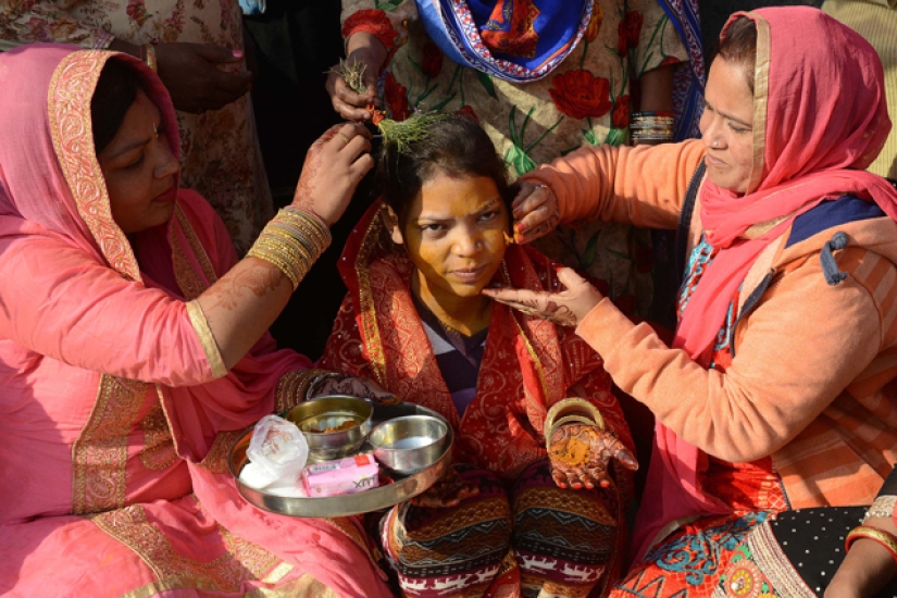 Culinismo: cómo funciona la tradición poligámica más repugnante del mundo