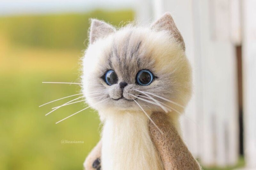Cute kittens made of felt from the needlewoman Elizabeth Delektorskaya