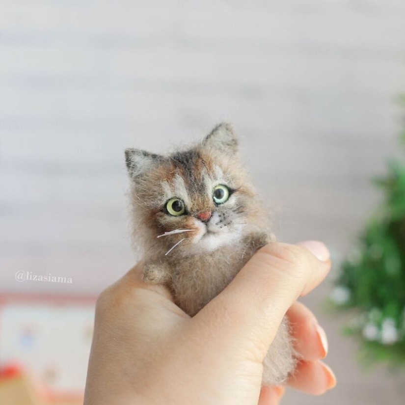 Cute kittens made of felt from the needlewoman Elizabeth Delektorskaya