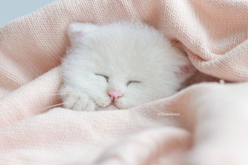 Cute kittens made of felt from the needlewoman Elizabeth Delektorskaya