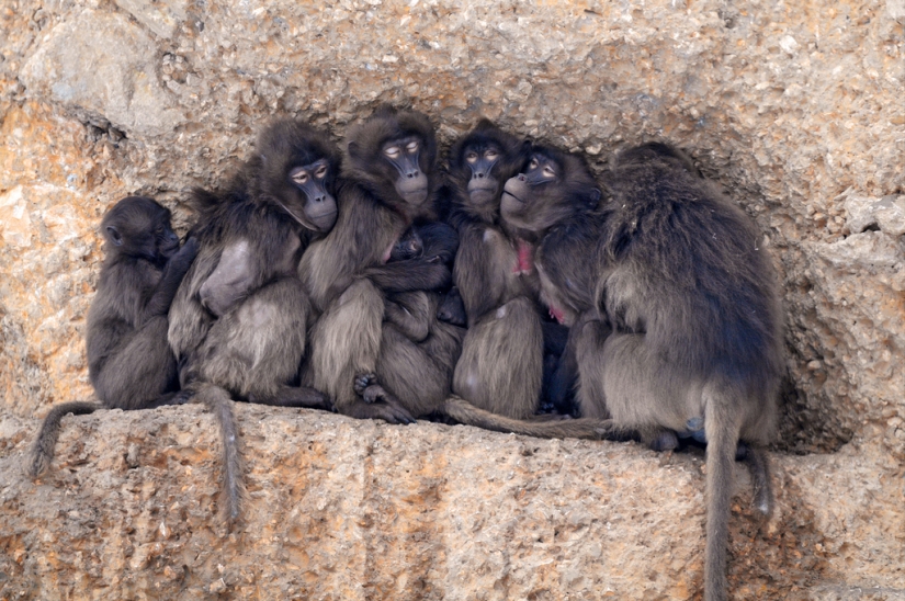 Día del Abrazo para Nuestros Hermanitos